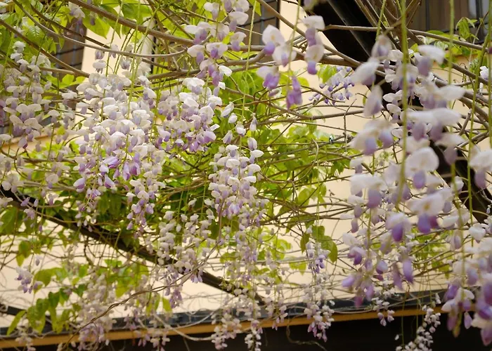Casa Lucia